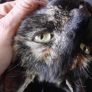 Hab ich nicht schöne Augen