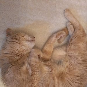 Heute der 13.05.2013