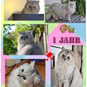 Geburtstag Pia