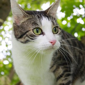 Hier ist unser "Eichhörnchen" noch mal ganz nah.