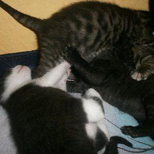 Wenn es nicht runderherum geht, geht es oben drüber