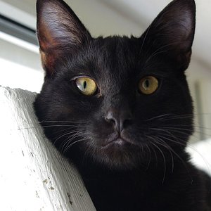 mein Hobby ist wachsen...