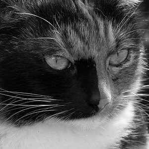 mein Prinzesschen ...