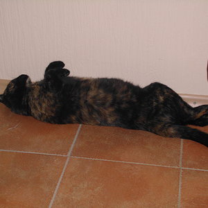 schlafen....überall