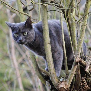 Da war doch eben noch ein Vogel ...