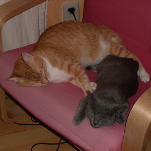 Ein äußerst seltenes Bild :-)
Fedi + Luna