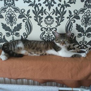 nochmal der Prinz, ich habe ihn wohl gestört :)