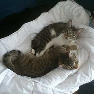 Kuscheltime (Mai 2013)