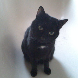 Jan. 09   Sevi Portrait 1