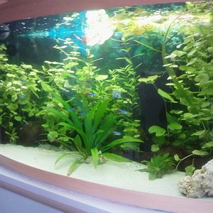 Mein kleines 120l Becken