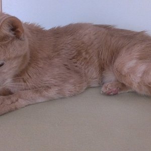 Gestern der 31.05.2013