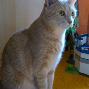 Letztes Jahr im Oktober 2012