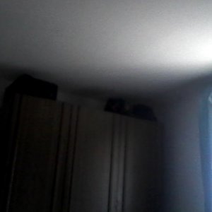 DER SCHRANK! Hier wohnt mein Katzenkind seit nunmehr 4 Wochen.