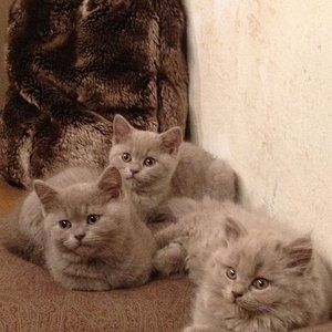 580432 132527063617552 599564583 n