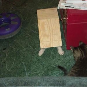 Beim spielen im nagerhaus :D