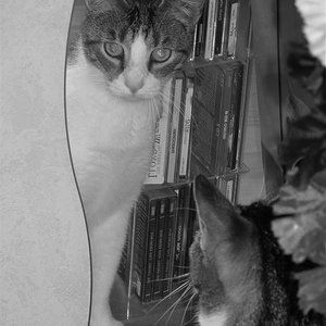 Der erste Blick in den Spiegel