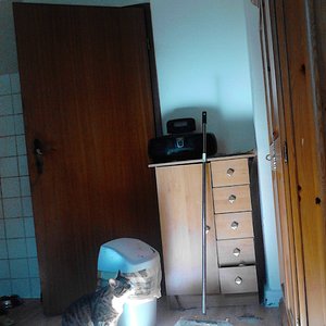 Tigger und das Sommenlicht