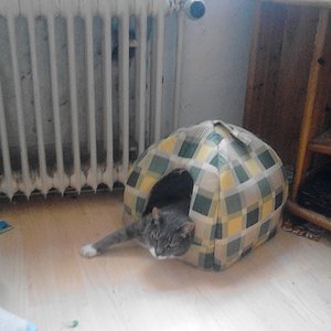 Trixi
Hier Wohne ich !!!!