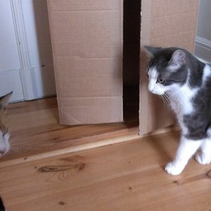 :( ihr ging es so schlecht...