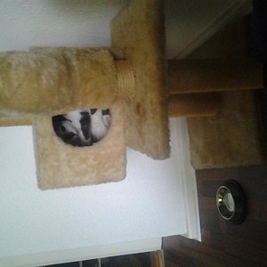 Verstecken spielen :D