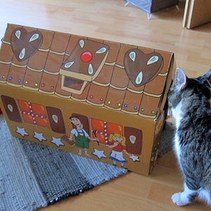 Lebkuchenhaus aus Pappe für mich???