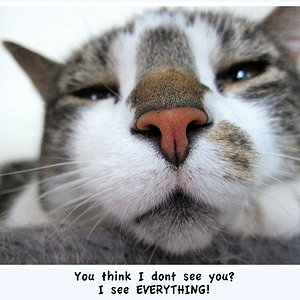 Ebby sieht alles....