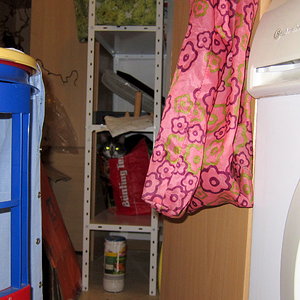 Ebby versteckt sich vor dem Staubsauger.