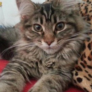 Meine kleine Prinzessin ;)