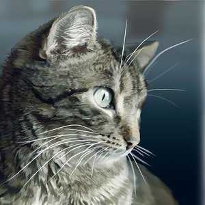 Unsere Lucy Photoshop Illustration