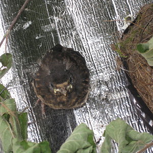 Folie damit sie nicht auf den kalten Steinen ist