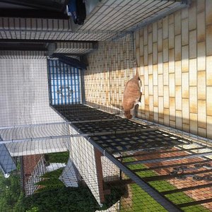 Katzennetz am Balkon