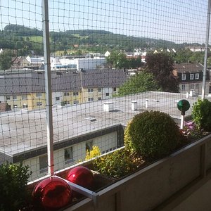 Katzennetz Balkon
