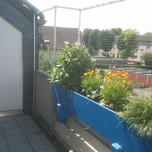Katzennetz Balkon mit Blumenkästen