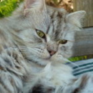 Hier einmal ganz verträumt.