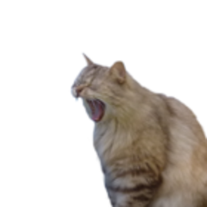 Jetzt wird es aber Zeit für ein Nickerchen.