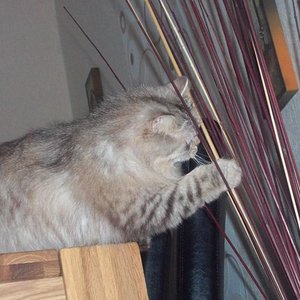 Für Unterhaltung sorgt er immer.