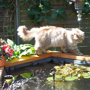 Mal schauen ob die Fischies noch alle beisammen sind !