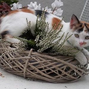 Sieht doch Klasse aus.