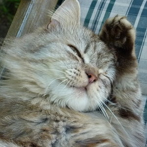 Schönheitspflege muss sein.