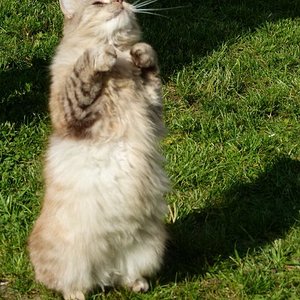 So her mit dem Leckerchen.