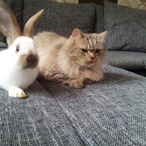 Sie sind jetzt schon ein Dreamteam.