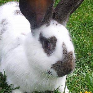 In stillen Gedenken.