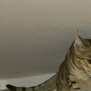 Mein Baby mit 7 Monaten