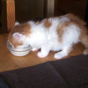 Da war sie noch Klein!