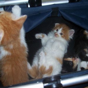 mit ihren Geschwistern