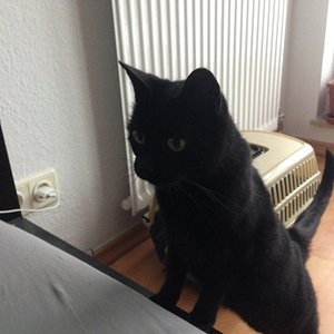 Das erste Foto von Freddl im neuen Zuhause