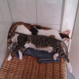 Anstengender Tag gewesen