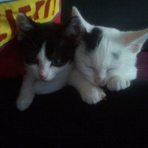 Da waren sie noch ganz klein