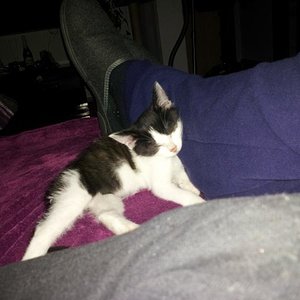 Baby noch ganz mini :(