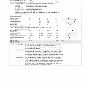 Blutwerte 23.10.2013 Seite 2
